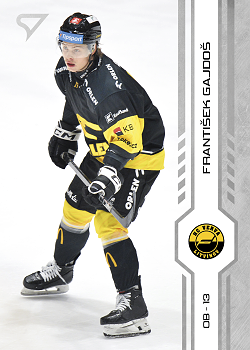 Frantisek Gajdos Litvinov Tipsport ELH 2024/25 SportZoo 2. serie #280